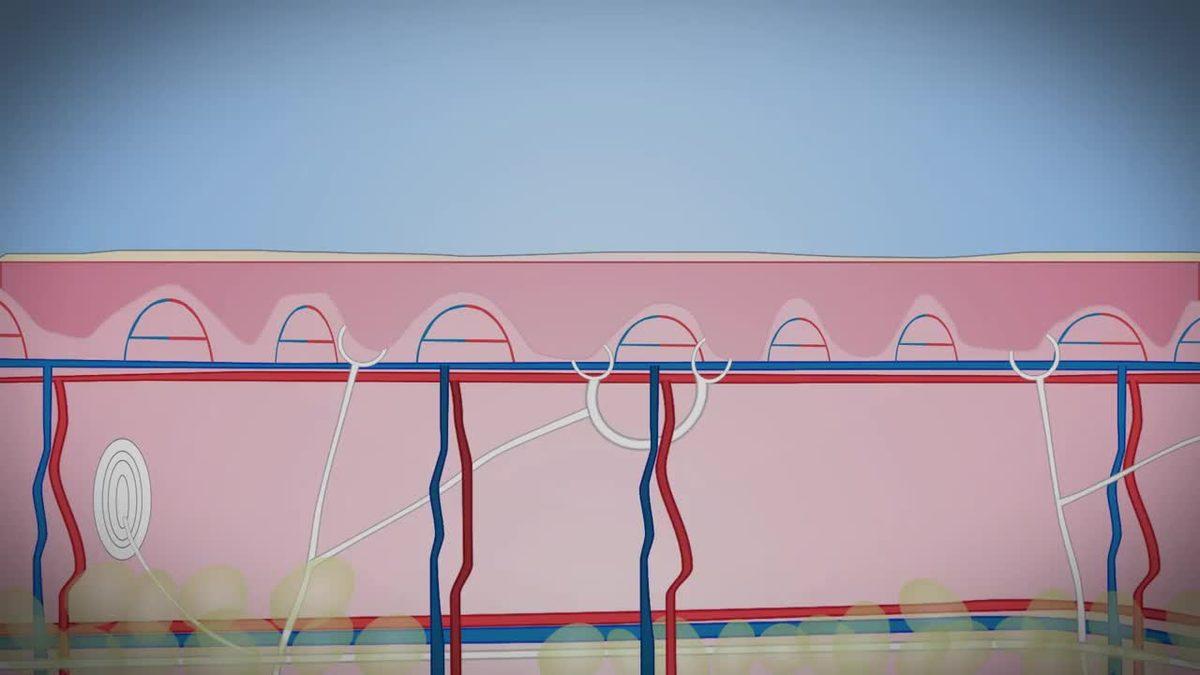 Salgın Korkusu ile Geçen 2020 Boyunca Yaşanmış En Önemli Teknolojik Gelişmeler