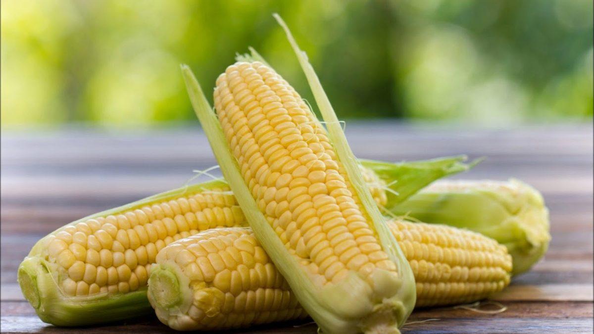 Yapay Seçilim Nedeni ile Yüzyıllar İçinde Evrim Geçiren 6 Sebze ve Meyve