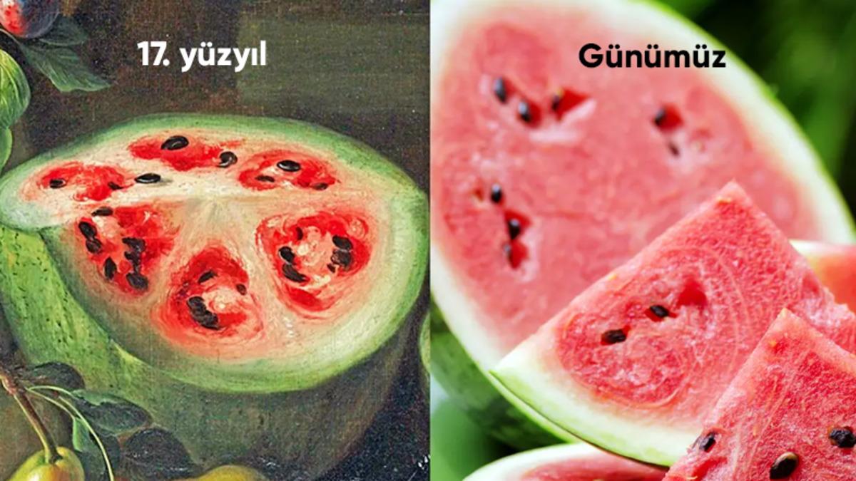 Yapay Seçilim Nedeni ile Yüzyıllar İçinde Evrim Geçiren 6 Sebze ve Meyve