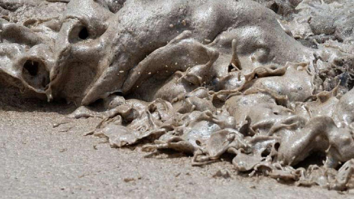 Volkanik Patlama Sonrası Petrol Sızıntısı Yaşanan Peru’da Durum Ciddileşiyor: Milyonlarca Canlının Hayatı Tehlikede