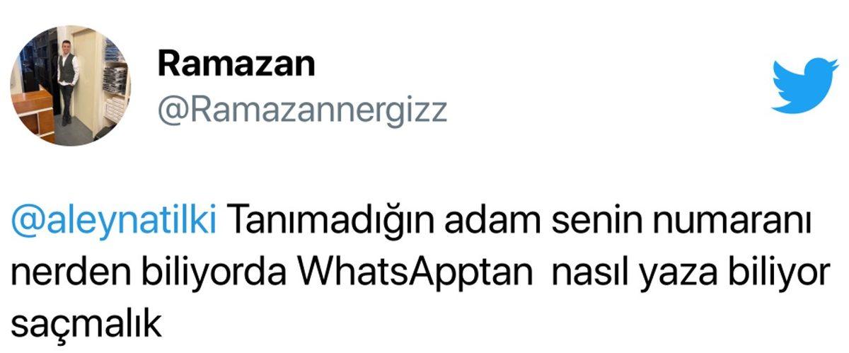 Aldığı Taciz ve Tehdit Mesajlarını Paylaşan Aleyna Tilki Sosyal Medyanın Gündeminde: İşte Olayın Detayları ve Gelen Tepkiler