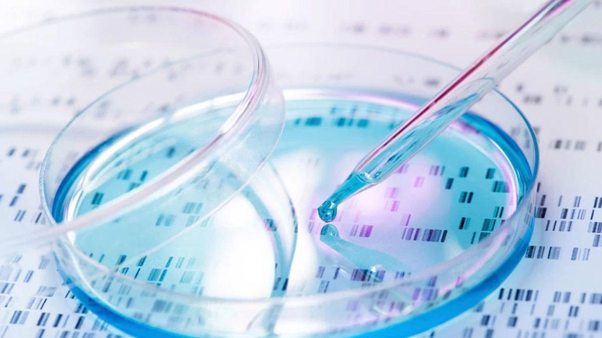 Bilim İnsanları, Gen Düzenleme Teknolojisi Kullanarak Yeni Bir Kanser Tedavisi Geliştirdi
