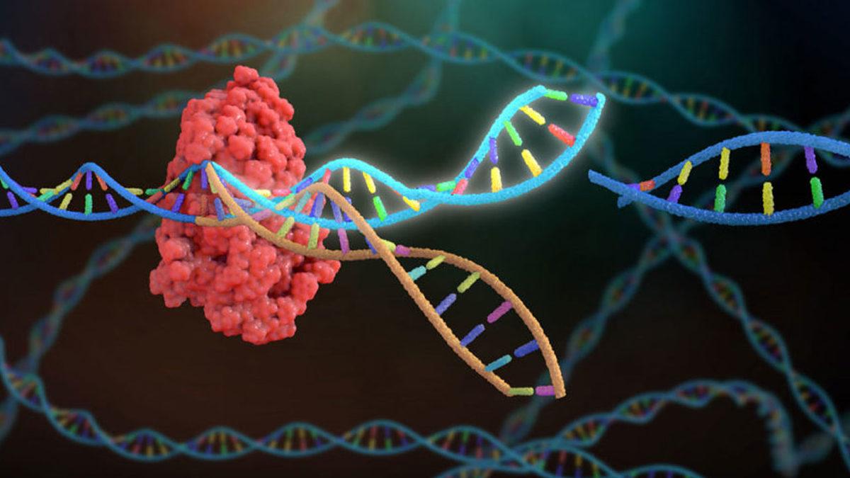 Bilim İnsanları, Gen Düzenleme Teknolojisi Kullanarak Yeni Bir Kanser Tedavisi Geliştirdi