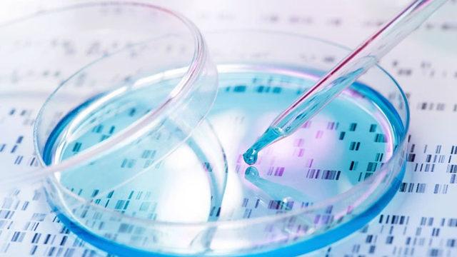Bilim İnsanları, Gen Düzenleme Teknolojisi Kullanarak Yeni Bir Kanser Tedavisi Geliştirdi