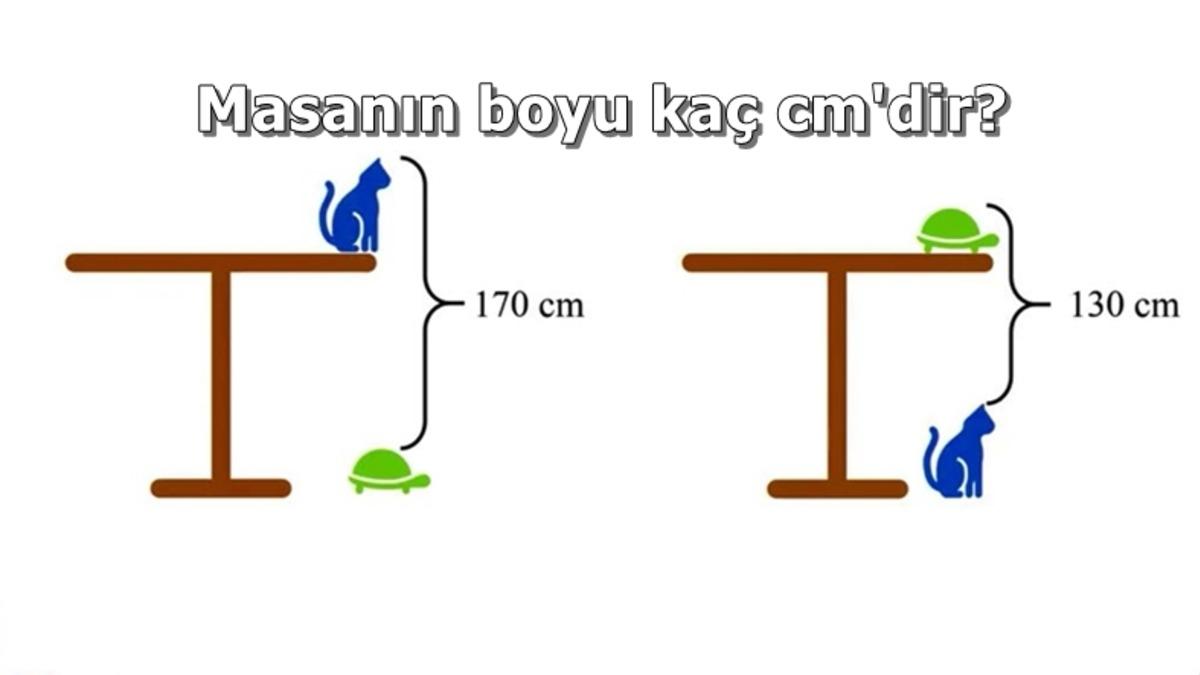 Çin’de İlköğretim Öğrencilerine Ev Ödevi Olarak Verilen Bu Soruyu Çözebilir misin?