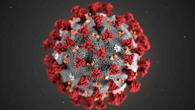 Koronavirüs Salgınının Yarasalardan İnsanlara Geçtiğini Doğrulayan Keşif