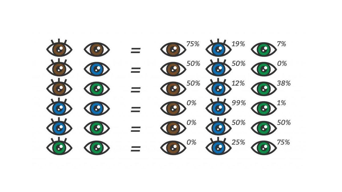 Bebeğinizin Göz ve Saç Rengi Ne Olacak? İşte Hesaplamanın Yolu