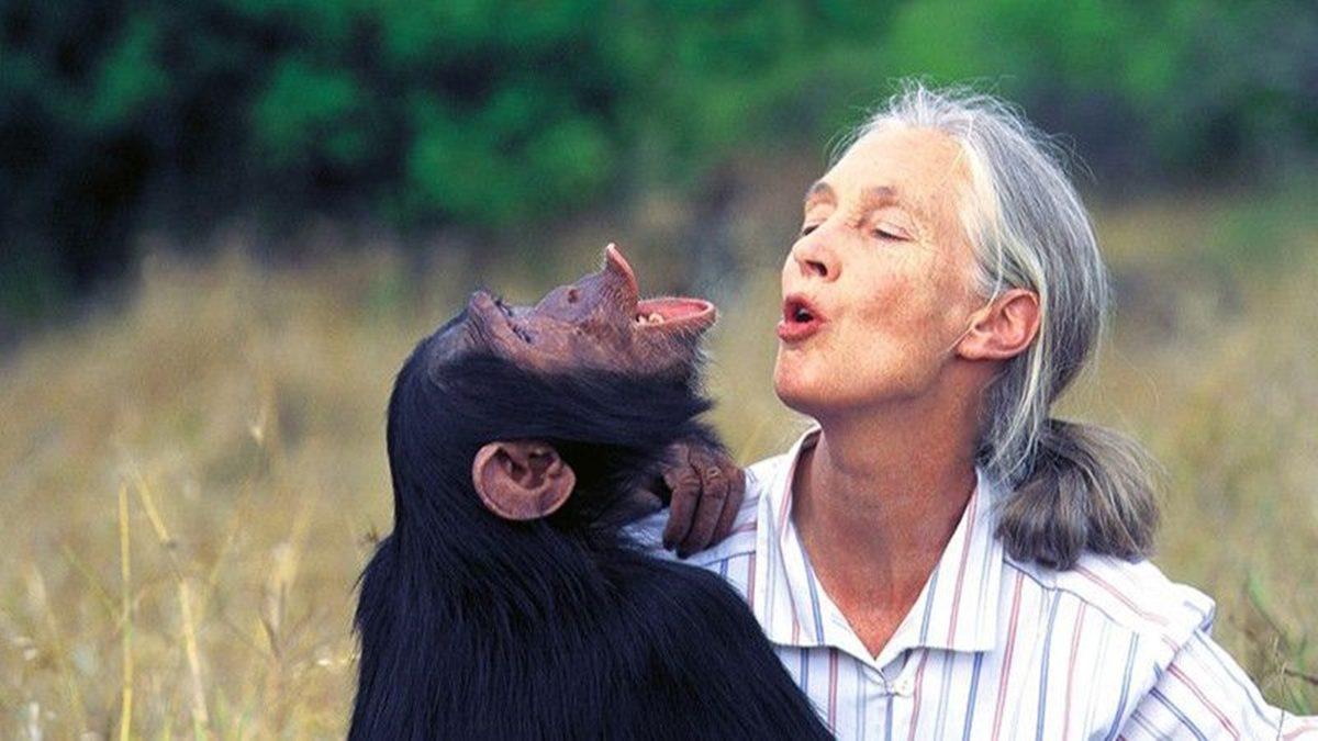 İnternette Sıklıkla Karşınıza Çıkan 12 Yanlış Bilginin Doğrusunu Açıkladık