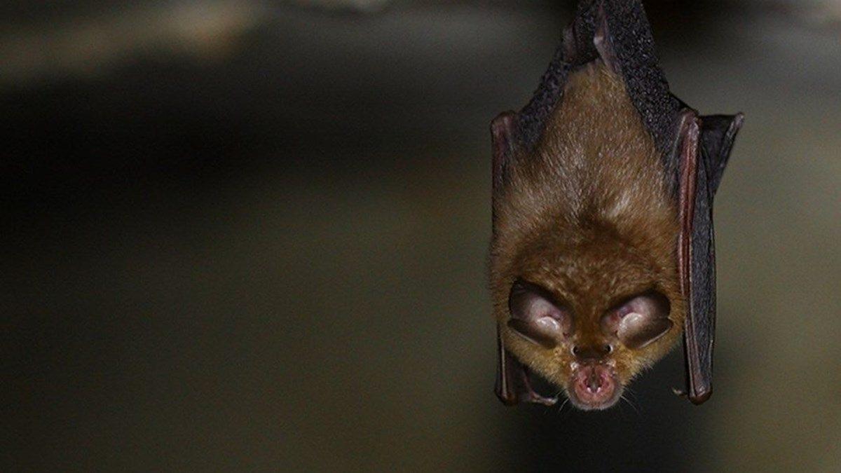 İnternette Sıklıkla Karşınıza Çıkan 12 Yanlış Bilginin Doğrusunu Açıkladık