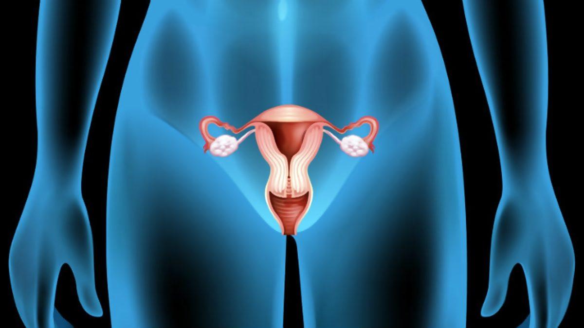 İnternette Sıklıkla Karşınıza Çıkan 12 Yanlış Bilginin Doğrusunu Açıkladık