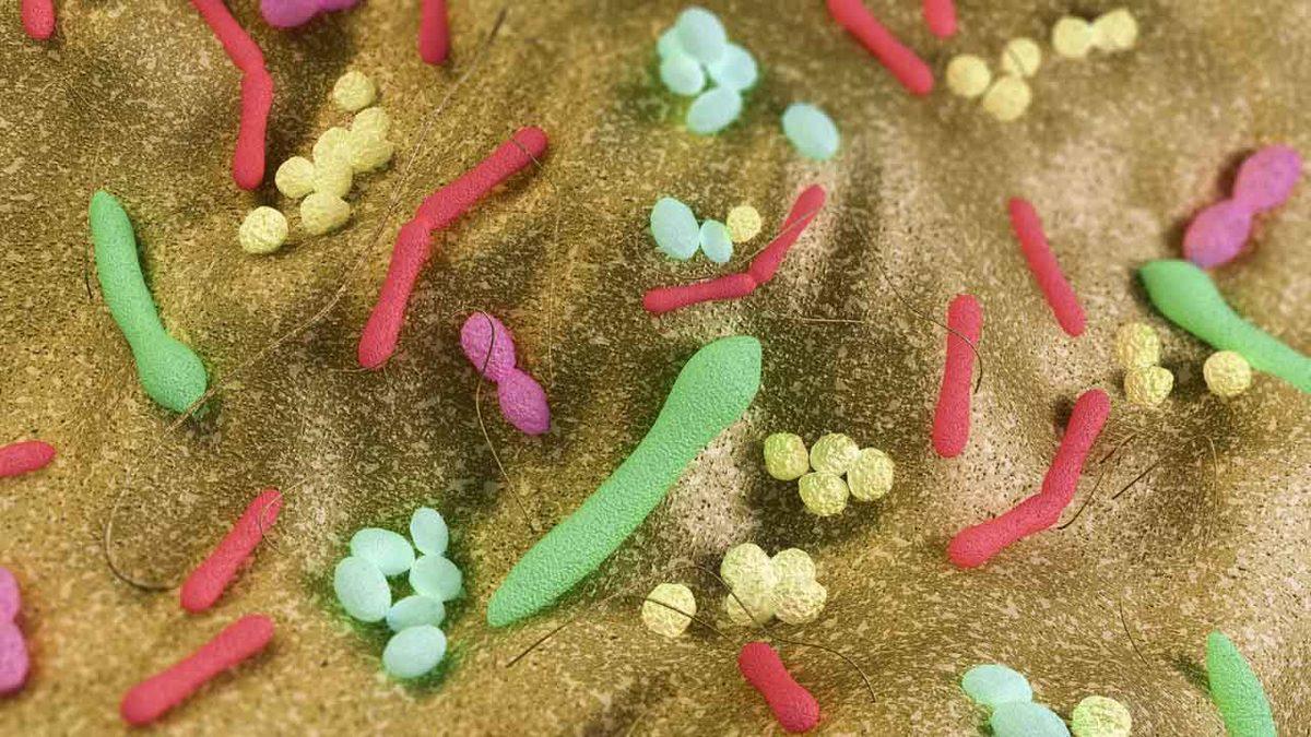 İnce Bağırsaklardaki Yararlı Bakterilerin B12 Vitamini İçin ’Seks’ Yaptığı Açıklandı