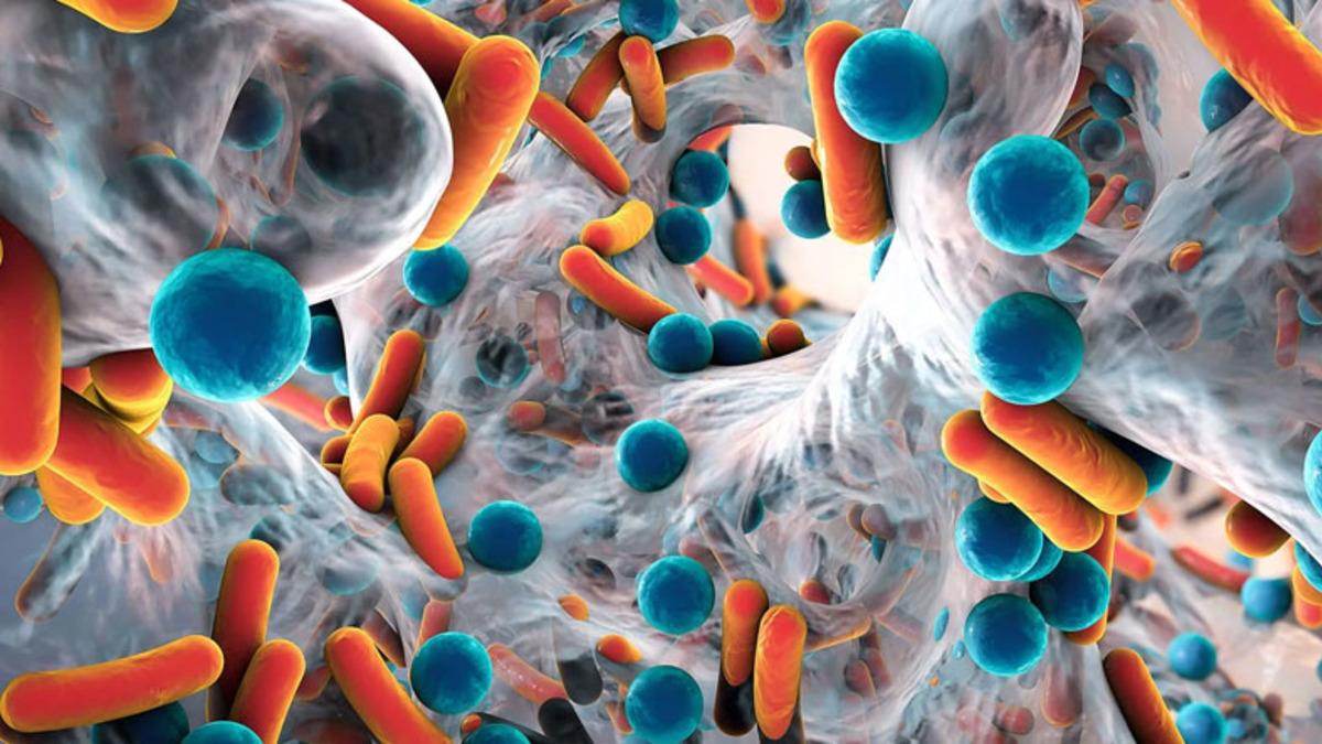 İnce Bağırsaklardaki Yararlı Bakterilerin B12 Vitamini İçin ’Seks’ Yaptığı Açıklandı