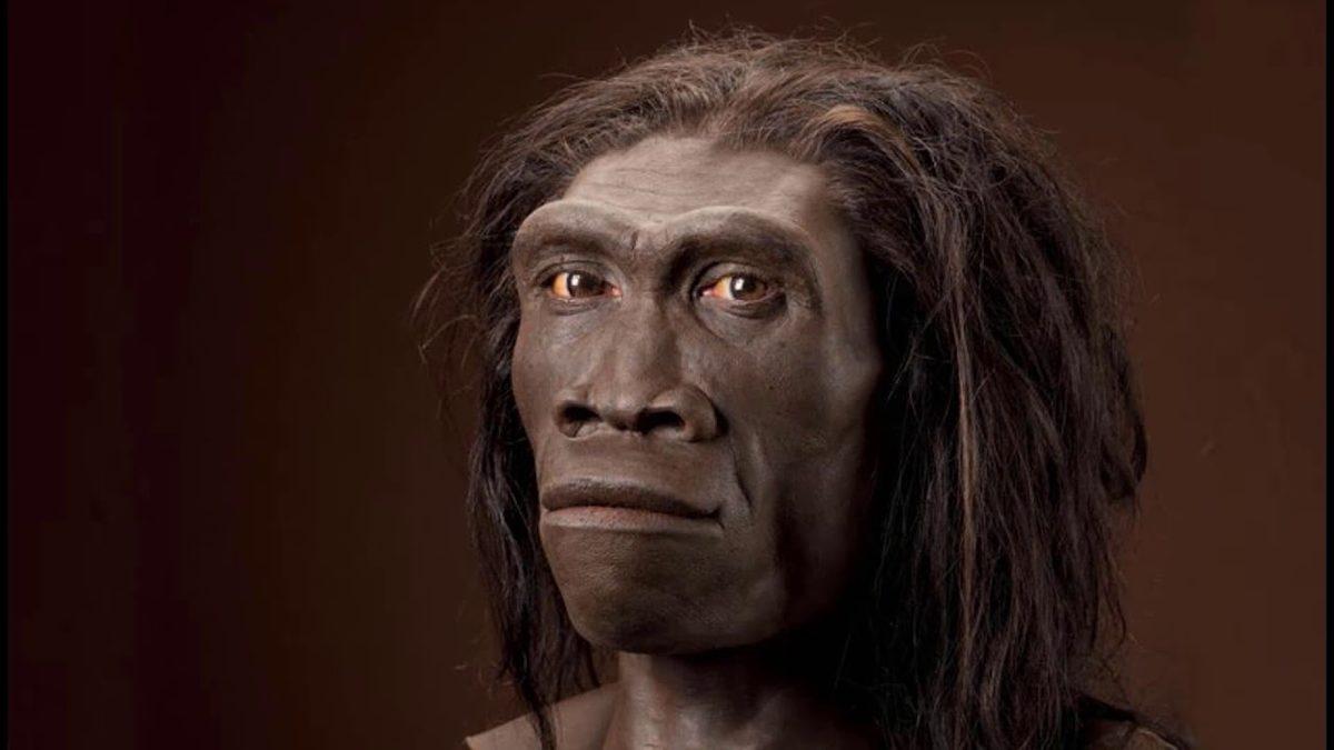 Tarihte Yaşamış Tüm İnsan Türleri, Özellikleri ve İsimlerinin Anlamları