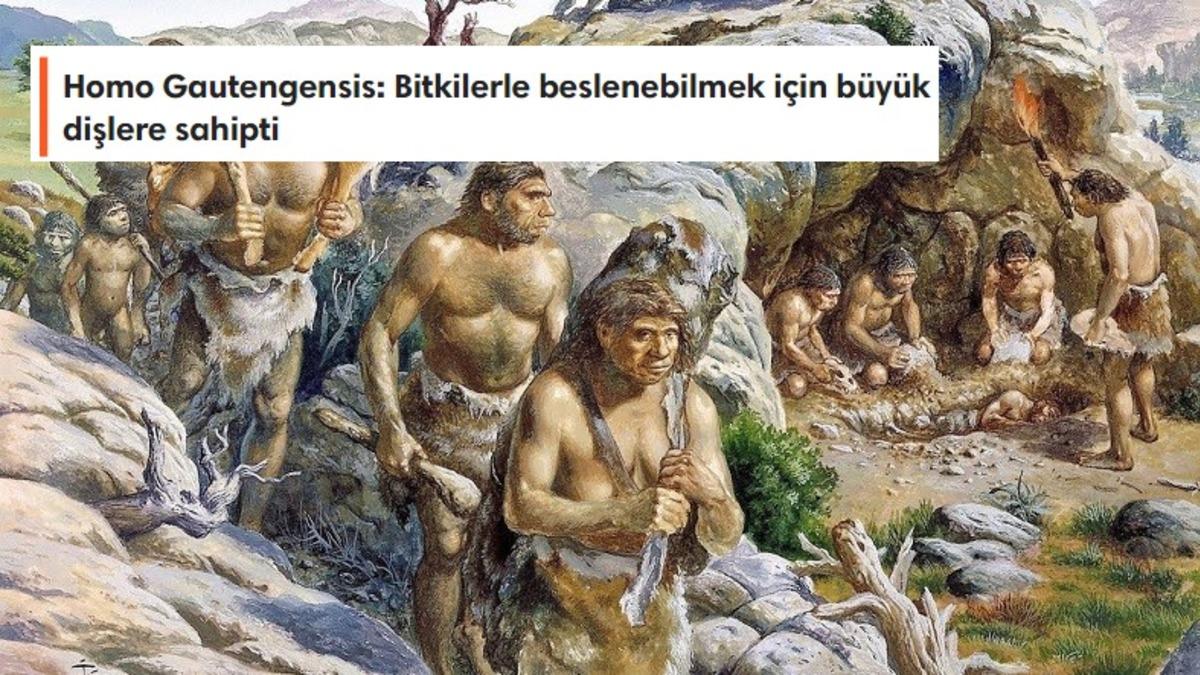 Tarihte Yaşamış Tüm İnsan Türleri, Özellikleri ve İsimlerinin Anlamları