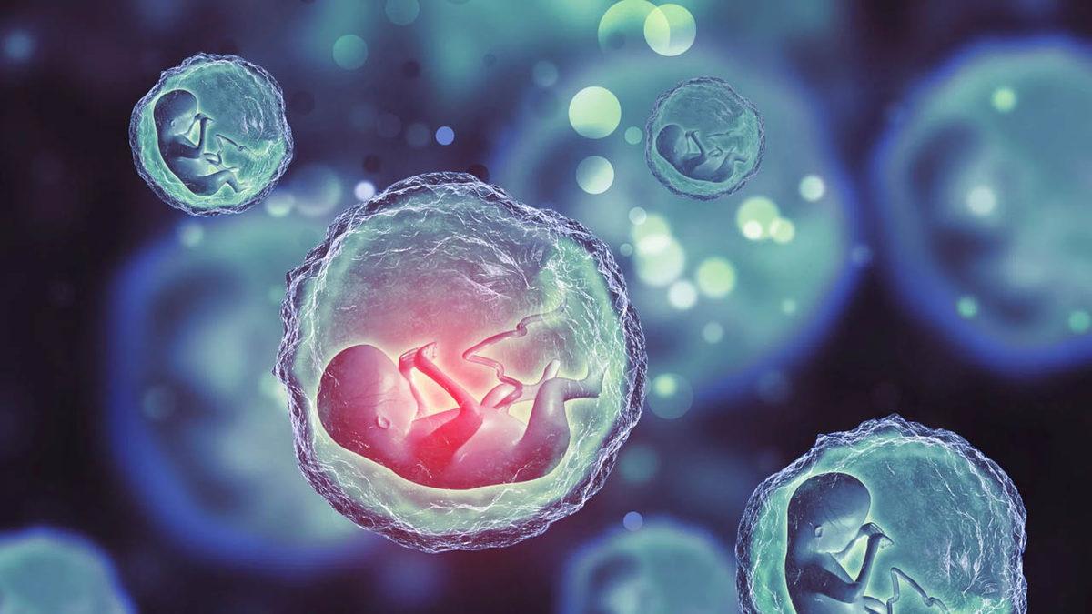 Hamilelik Tarih Oluyor: Bebeklerin Anne Karnı Dışında Büyüyebileceği ’Yapay Rahim’ Geliştirildi