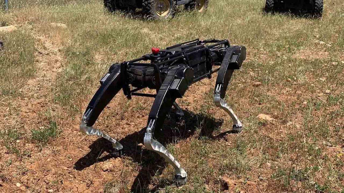 ABD, Sınırları Korumak İçin ’Robot’ Köpeklerin Devriye Gezeceğini Açıkladı