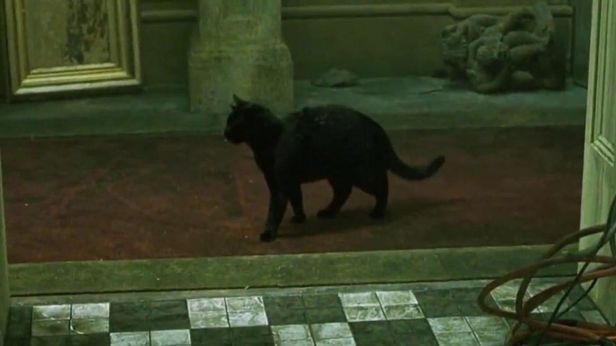 Sinema Ordinaryüslerine Özel: Bu 20 Filmden Kaçını Tek Karesinden Tanıyabileceksin?