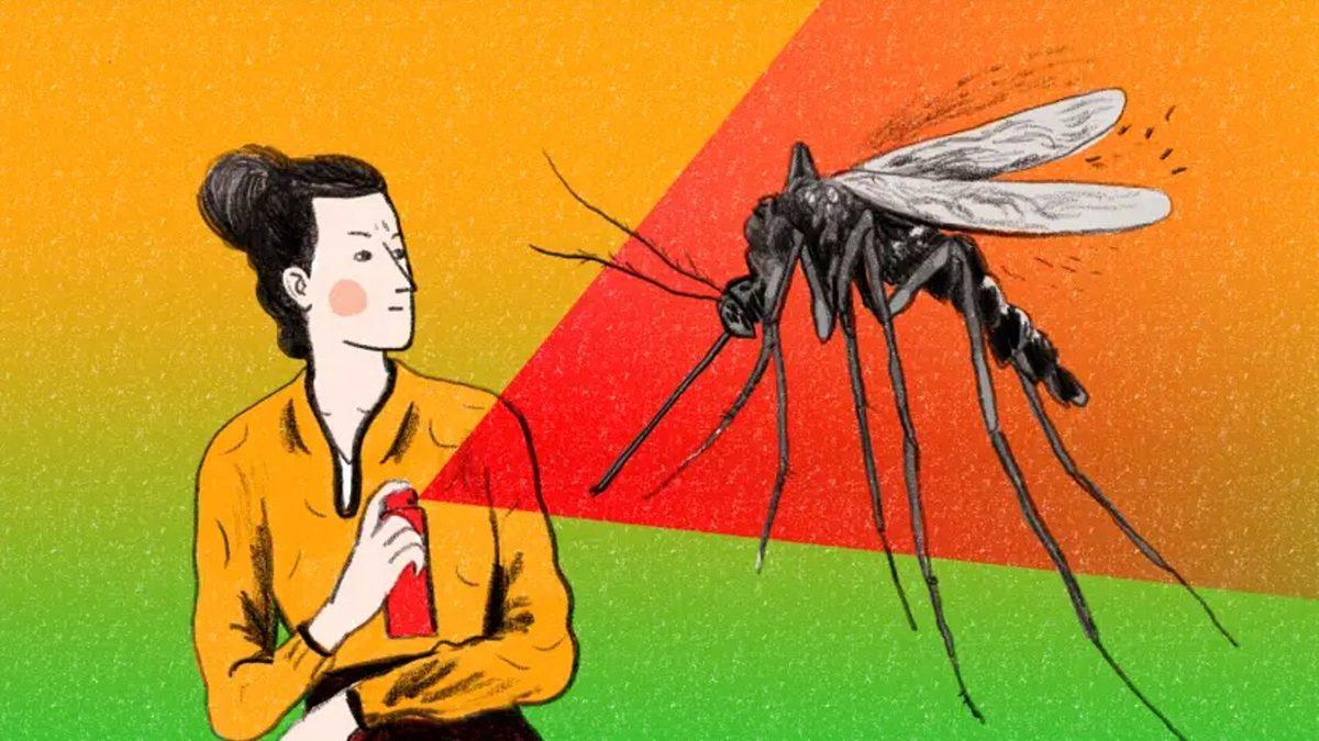 Sivrisineklerin ’Avlayacakları’ İnsanları Giydikleri Renklere Göre Seçtiği Keşfedildi: Bazı Renklere İlgileri Daha Fazla