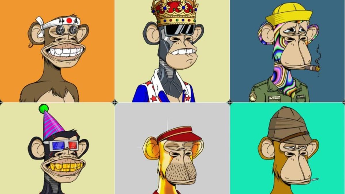 Ünlülerin Maymun Fotoğraflarına Milyonlarca Dolar Ödediği Bored Ape NFT Koleksiyonunun Kurucuları Ortaya Çıktı