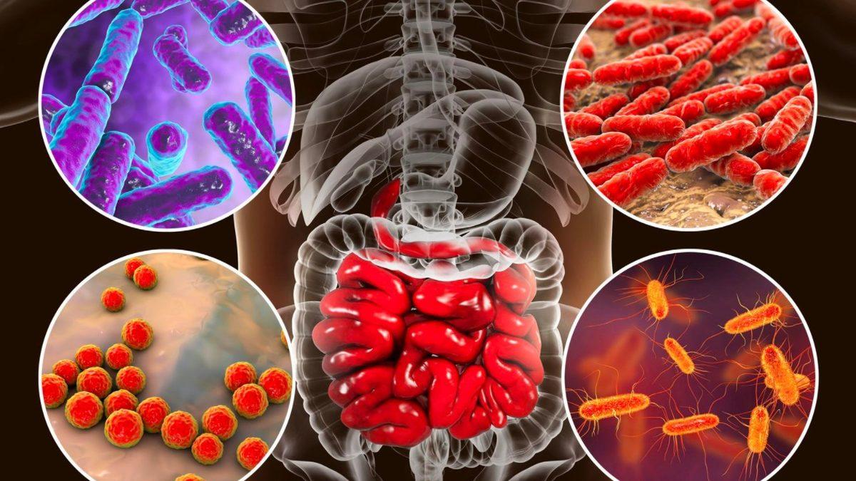 Araştırmacılar, Bağırsaktaki Bakterilerin Depresyona Sebep Olabileceğini Açıkladı