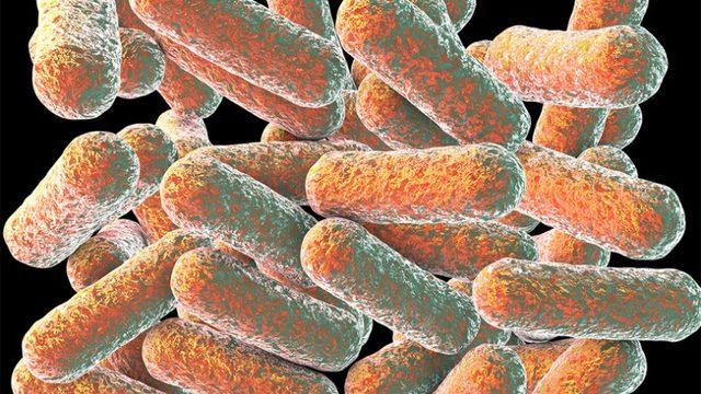 Araştırmacılar, Bağırsaktaki Bakterilerin Depresyona Sebep Olabileceğini Açıkladı
