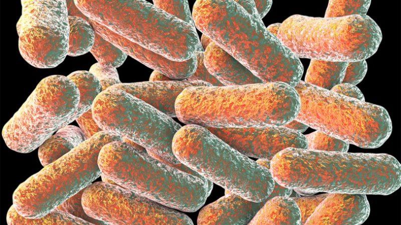 Araştırmacılar, Bağırsaktaki Bakterilerin Depresyona Sebep Olabileceğini Açıkladı