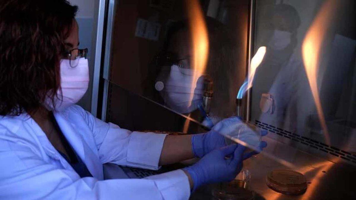 Genetik Teknolojisi Kullanılarak Türkiye’nin İlk ‘mRNA’ Aşısı Geliştirildi