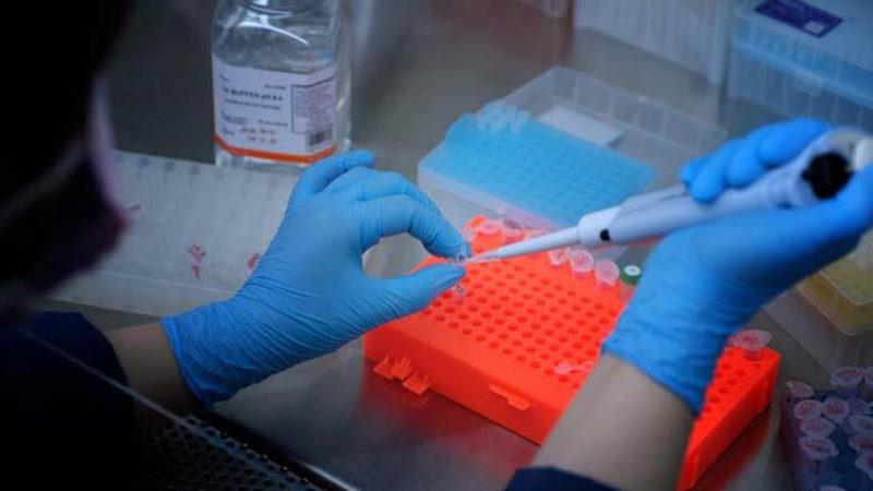 Genetik Teknolojisi Kullanılarak Türkiye’nin İlk ‘mRNA’ Aşısı Geliştirildi