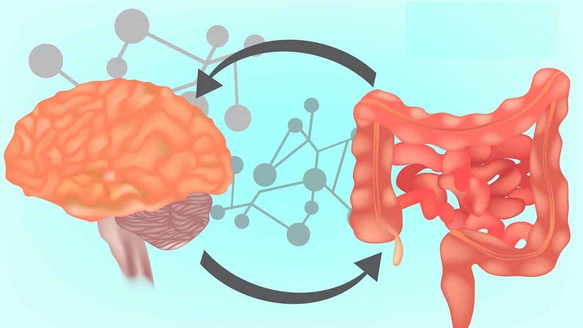 ’Dışkı Nakli’ Yaşlanmanın Önüne Geçen Bir İlaç Olabilir