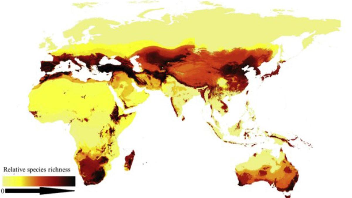 Türkiye’nin Ne Kadar Önemli Bir Aktör Olduğunu Gösteren ’Dünya Arı Haritası’ Çıkarıldı