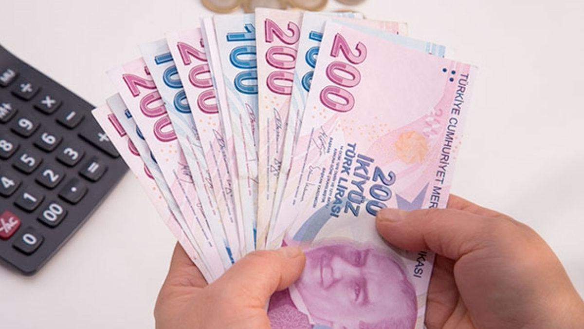 Tüm Dünyada Banknotlara En Çok Resmi Basılan Meslekler, Mimari Yapılar ve Hayvanlar Açıklandı