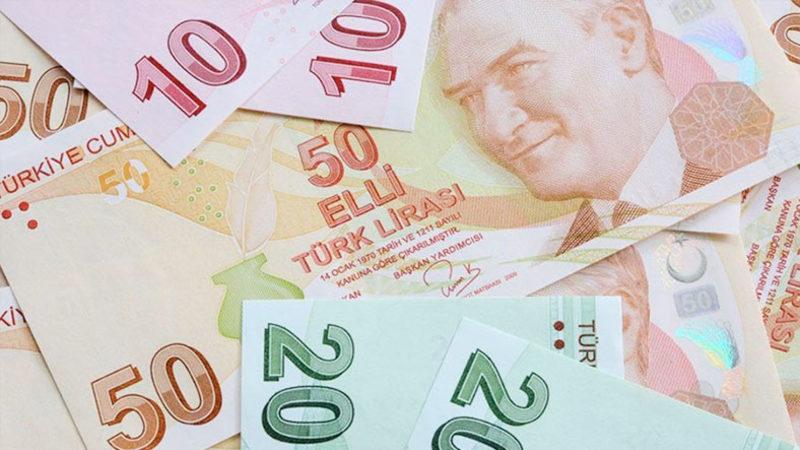 Tüm Dünyada Banknotlara En Çok Resmi Basılan Meslekler, Mimari Yapılar ve Hayvanlar Açıklandı