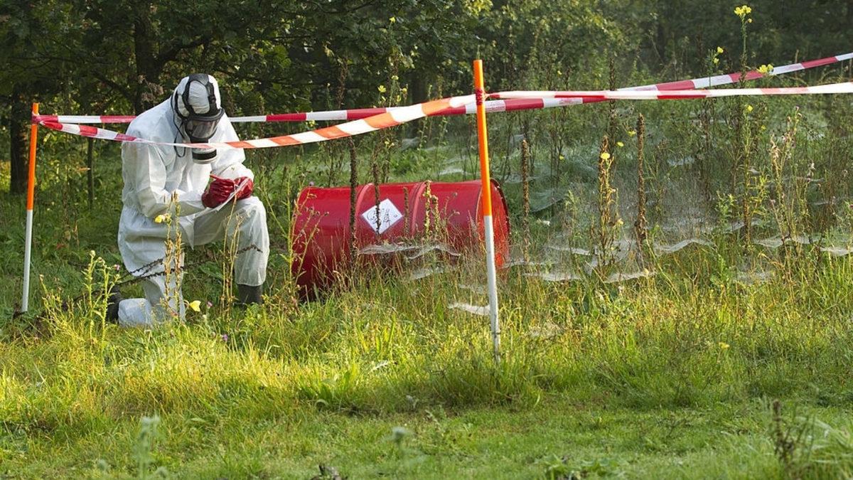 Çernobil’deki Radyoaktif Maddeleri Bile Yok Edip Çevreyi Hayata Döndüren Islah Yöntemi: Fitoremediasyon