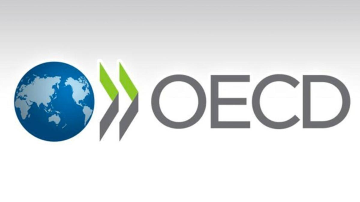 OECD Türkiye Tahminlerini Açıkladı