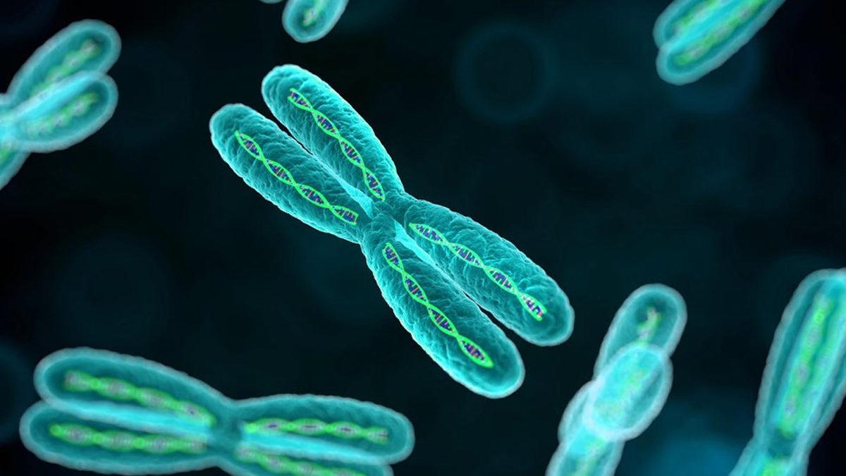 Bilim İnsanları, Hücresel Yaşlanmayı Tersine Çevirecek Kilit Geni Buldu