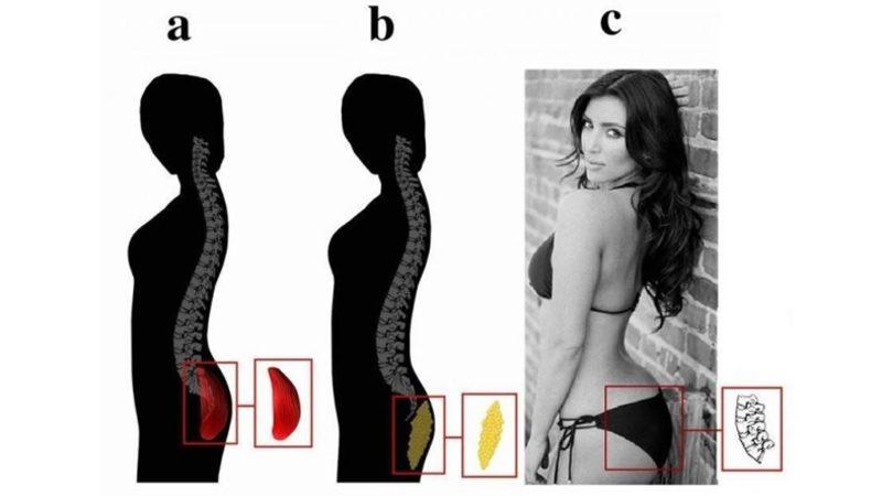 Bel Kıvrımı Açısı 45 Derece Olan Kadınların Erkeklere Daha Çekici Gelmesinin Evrimsel Sebebi