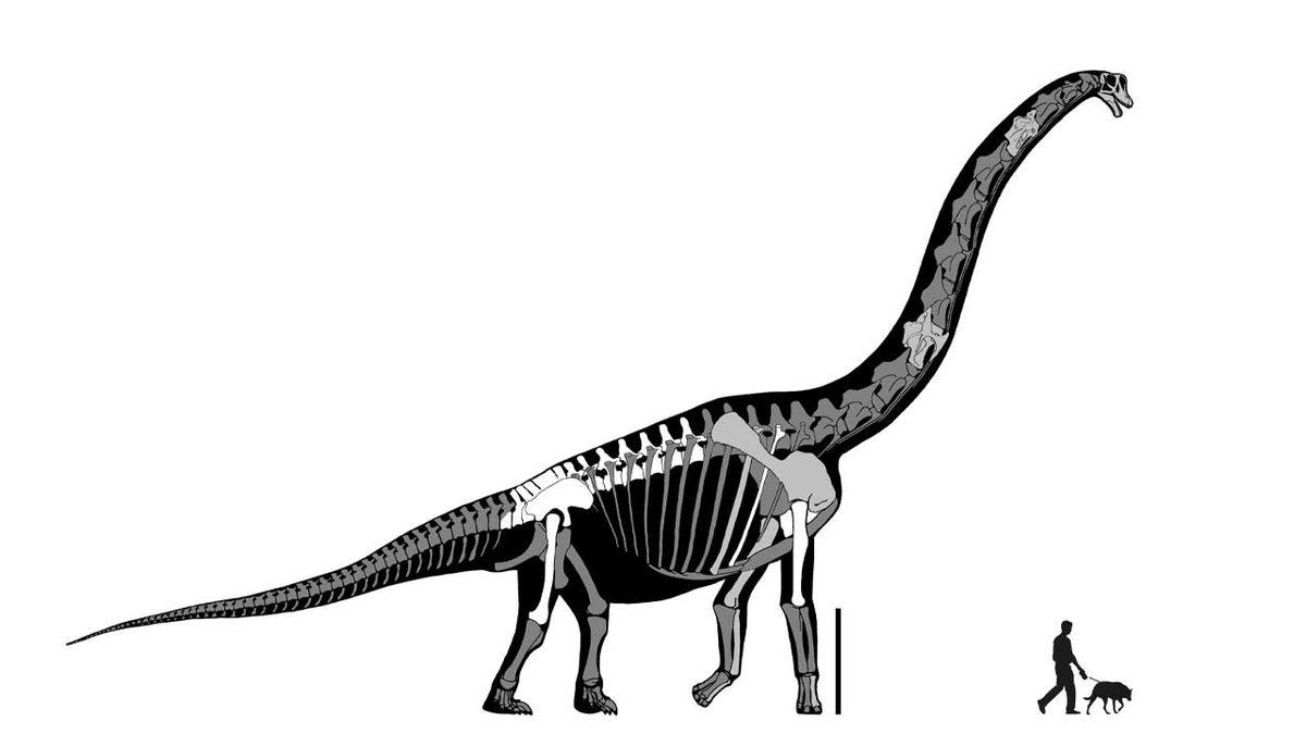 Filmlerin Dinozorlarla İlgili Söylediği 20 Yalan 3 Sinema Dünyasının Dinozorlarla İlgili Söylediği 20 Yalan ve Doğrusu
