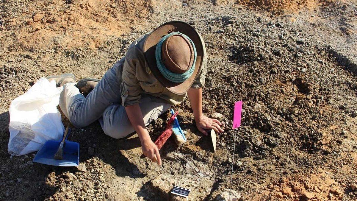 Filmlerin Dinozorlarla İlgili Söylediği 20 Yalan 4 Sinema Dünyasının Dinozorlarla İlgili Söylediği 20 Yalan ve Doğrusu