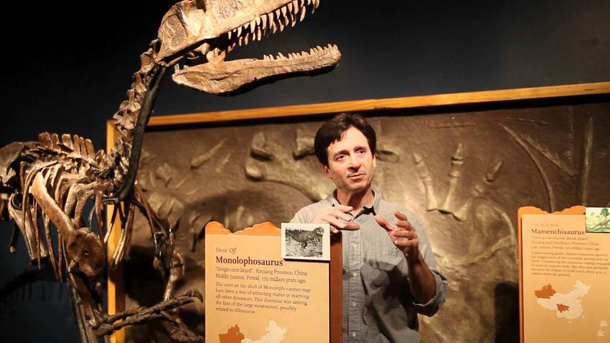 Filmlerin Dinozorlarla İlgili Söylediği 20 Yalan 5 Sinema Dünyasının Dinozorlarla İlgili Söylediği 20 Yalan ve Doğrusu