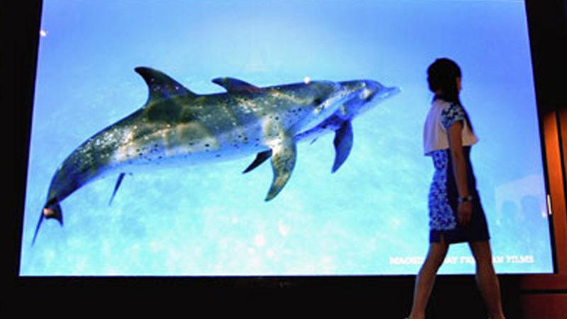 Televizyonları HD İzlemenin Karbon Emisyonlarını Sekiz Kat Artırdığı Ortaya Çıktı