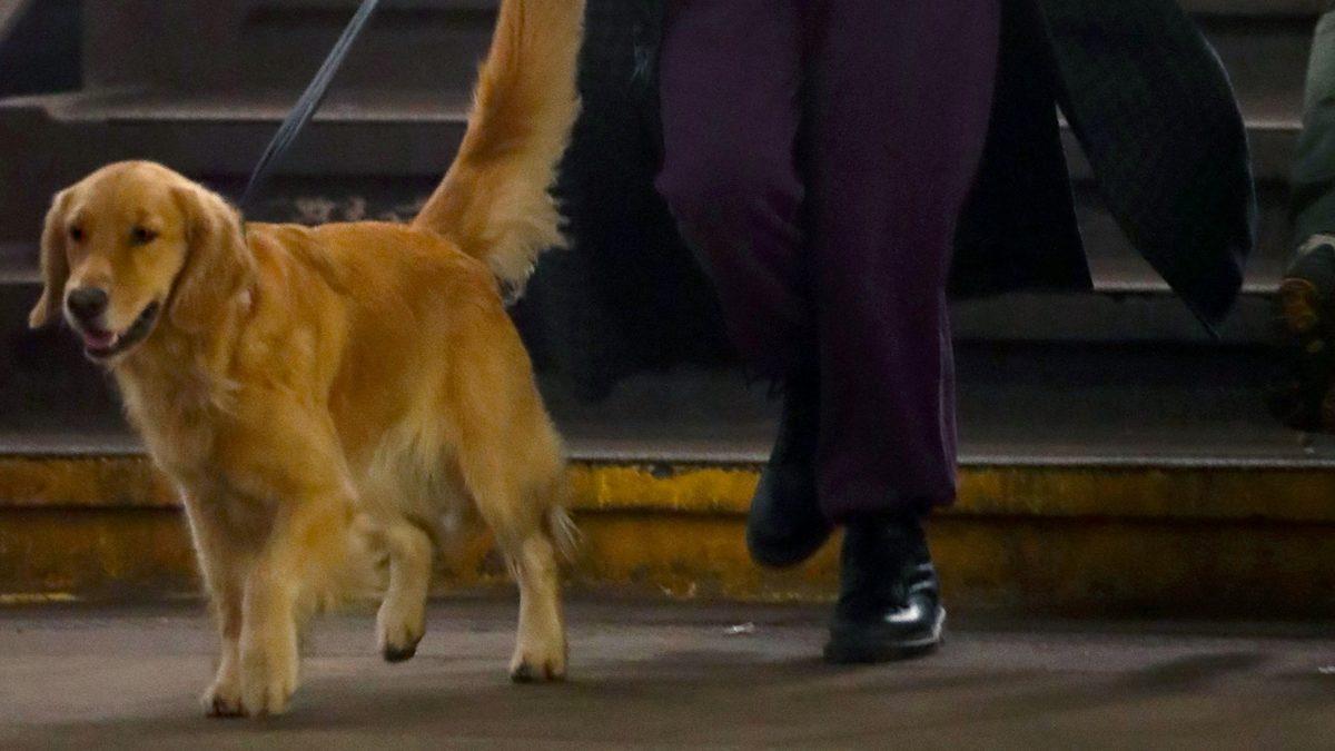 Disney+’ın Hawkeye Dizisinden Yeni Fotoğraflar Geldi