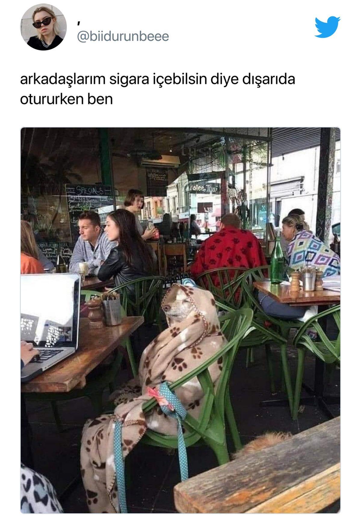 Bu Nasıl Gözümden Kaçmış Deyip Hemen Ortamlarda Paylaşmak İsteyeceğiniz 22 Viral Tweet