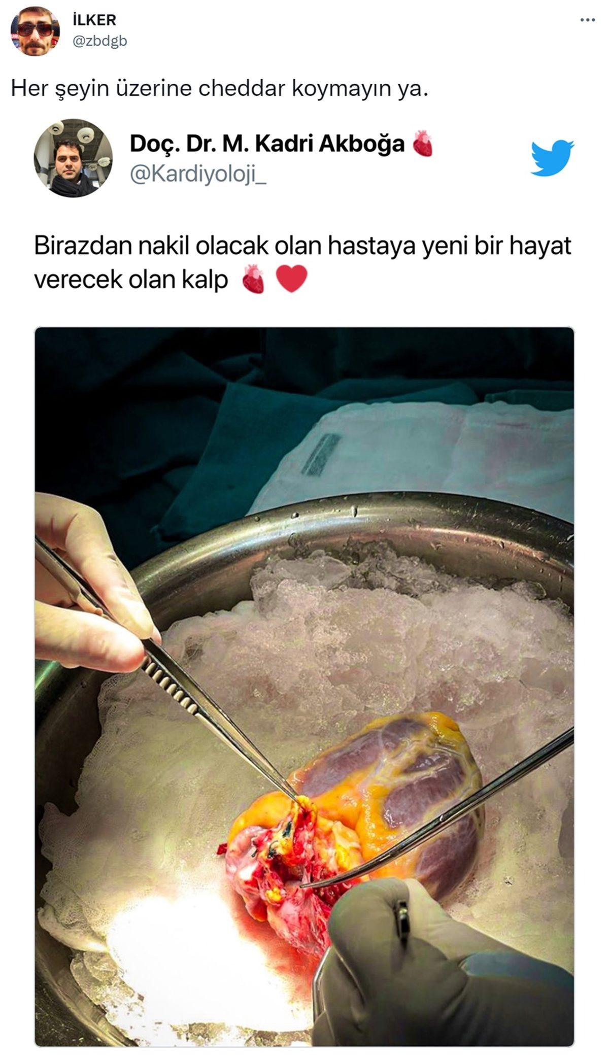 Bu Nasıl Gözümden Kaçmış Deyip Hemen Ortamlarda Paylaşmak İsteyeceğiniz 22 Viral Tweet