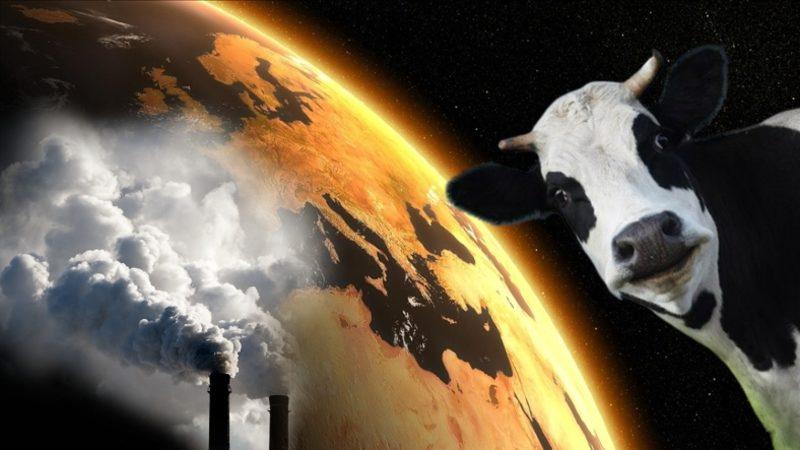 Türkiye’den İklim Krizi ile Mücadelede Önemli Adım: Hayvancılık Sektörü İçin İlk Olacak Bir Proje Başlatıldı