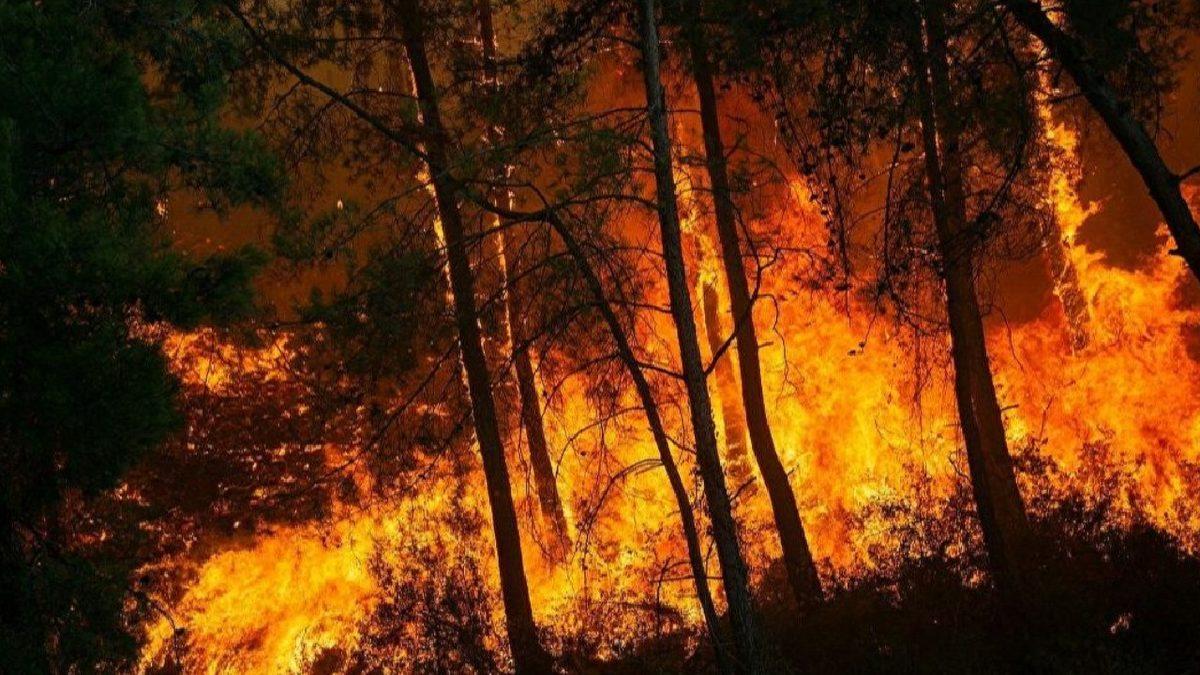 AFAD, 2021 Yılının Risk Haritasını Çıkarttı: Geçtiğimiz Yıl 23 Bin 753 Depremle Sarsıldık