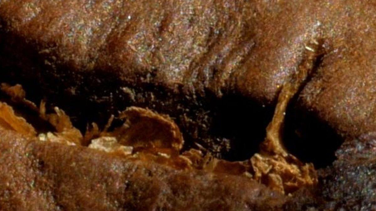 Yakın Çekimini Gördüğün Bu Görsellerin Neye Ait Olduğunu Bulabilecek misin?