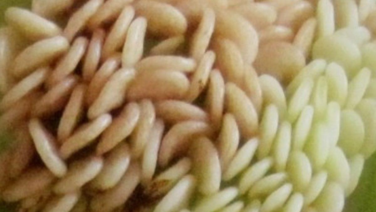 Yakın Çekimini Gördüğün Bu Görsellerin Neye Ait Olduğunu Bulabilecek misin?