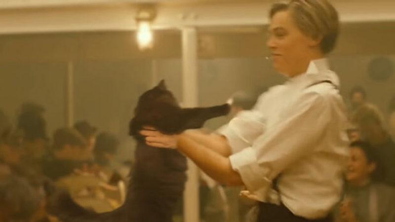 Unutulmaz Film Titanik, Yıllar Sonra Yeniden Montajlandı: Hem de Rose Karakteri Yerine Bir Kediyle! [Video]