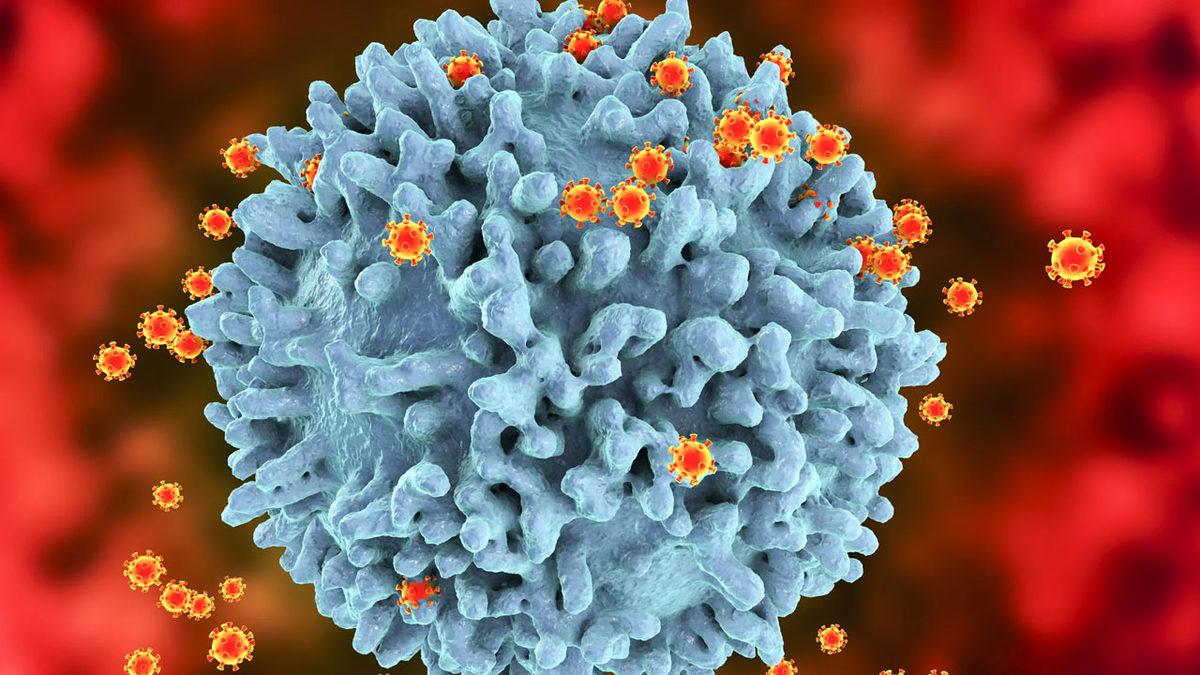 Dünyada İlk Kez Bir Kadın, Tedavi ile HIV Virüsünden Kurtuldu