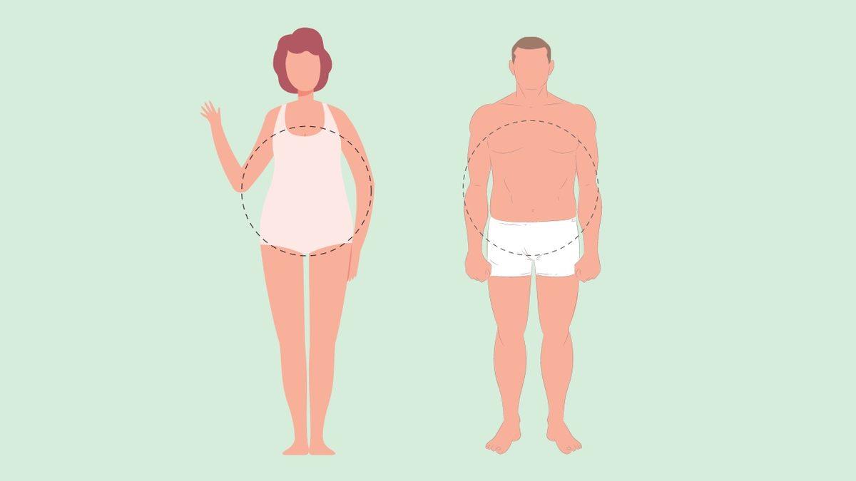 Bilime Göre Hangi Vücut Tipine Sahipsiniz? Ektomorf, Endomorf, Mezomorf Vücut Tipleri ve Özelliklerini Açıklıyoruz